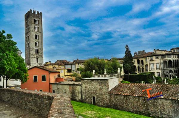 Lucca, vista dalla cerchia muraria - Turista A Due Passi Da Casa