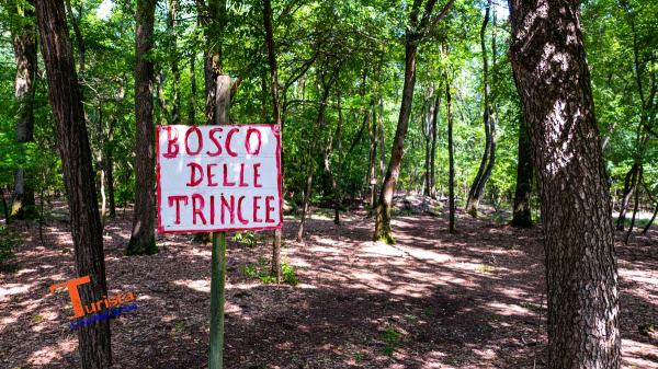 Lonate Pozzolo, via di Gaggio, Bosco delle Trincee - Turista A Due Passi Da Casa