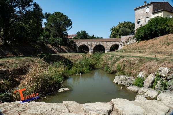Savignano sul Rubicone, il ponte romano - Turista A Due Passi Da Casa