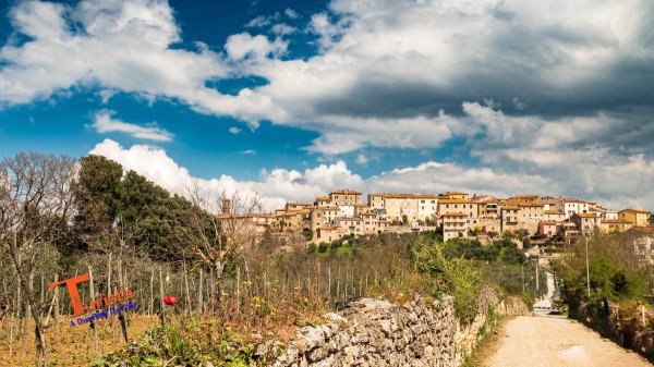Rapolano Terme, paesaggio sul borgo - Turista A Due Passi Da Casa